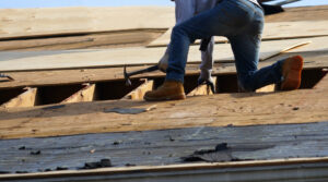 Roofer Fixing Rooftop in Toowoomba